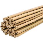 Tuteurs en bambou 90 cm lot de 25 pi�ces?10 - 12 mm?support pour plantes l�gumes tomates et plants de ...