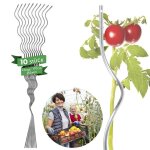 Lot de 10 tuteurs spirales galvanis�s pour plantes grimpantes tomates concombres framboises et fleurs ...