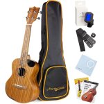 Ukull tnor martin smith premium avec accordeur housse rembourre & cordes aquila