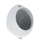 Urinoir - geberit - selnova pico - c�ramique - arriv�e deau par le haut - blanc