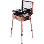 Valise cosmétique à roulettes - valise de maquillage - miroir - Éclairage de coiffeuse professionnelle ... Valise cosmétique à roulettes - valise de maquillage - miroir - Éclairage de coiffeuse professionnelle ...