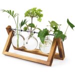 Vase � bulbe de jardini�re en verre kit de terrarium de plante d?air de bureau avec support en bois massif ...