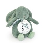 Veilleuse musicale lapin vert