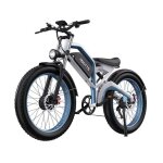 V�lo electrique adulte n26 - moteur 1500 w (2 * 750 w) - batterie samsung 48 v 20 ah - shimano 7 - autonomie ...