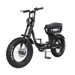 V�lo �lectrique biplace cargo garrett miller city noir batterie simple / tout terrain