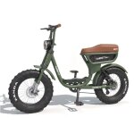 V�lo �lectrique biplace cargo garrett miller city vert batterie simple / tout terrain
