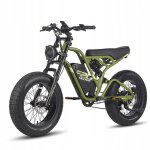 Vlo lectrique fafrees f20 ultra - moteur 1200w - autonomie 100km - batterie lg 48v 25ah - shimano 7 ...