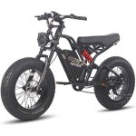 Vlo lectrique fafrees f20 ultra - motor 1200w - 48v / 25ah lg batterietout terrain vtt lectrique 20 ...