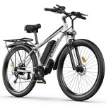 Vlo lectrique fengqs q8 - moteur 750w - batterie 48v 175ah - pneus 275 pouces - autonomie 85 km - freins ...