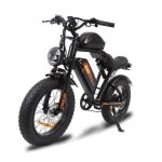 V�lo �lectrique jking fxh - moteur 1000w dual batterie 48v 20. 3ah autonomie 80km?tout �lectrique? tout ...