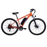 V�lo �lectrique pvy m29 - moteur 250w - batterie 48v 175ah - pneus 29 pouces - vitesse maximale 25km ...