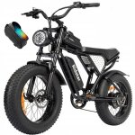 Vlo lectrique ridstar q20 - moteur 1000w - batterie amovible 15ah - autonomie 90 km - shimano 7 vitesses ...