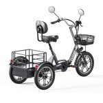 V�lo �lectrique tricycle cysum t1 pro - moteur 48v 350w - batterie 48v 22ah - autonomie 90km - multiusage ...