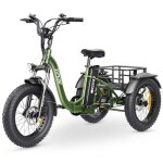 V�lo �lectrique vipcoo et1 pour adultes moteur 250 w batterie 48 v 20 ah pneus 20 pouces tout - terrain ...