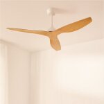 Ventilateur de plafond - create - wind balance - silencieux - �132 cm - fonction �t� / hiver