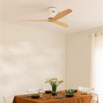 Ventilateur de plafond - create - sans lumière - silencieux - fonction été / hiver - télécommande Ventilateur de plafond - create - sans lumière - silencieux - fonction été / hiver - télécommande