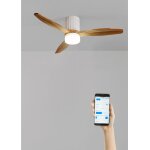 Ventilateur de plafond - create - avec lumire - silencieux - 132 cm - bois
