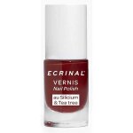 Ecrinal vernis silicium + tea terracotta
