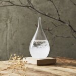 Verre temp�te - home deco factory - barom�tre - transparent