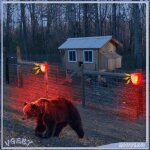 Vgeby alarme solaire avec capteur de mouvement pir et sir�ne alarme anti - vol avec lumi�re pour ext�rieur ...