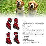 Vgeby bottes de protection walker active protection contre la chaleur chaussons pour chiens rouge l abilitysho ...
