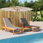 Vidaxl lot de 2 chaises longues bain de soleil transat de terrasse sige de jardin patio balcon extrieur ...