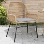 Vidaxl chaises de jardin lot de 2 et coussins marron rotin siège de jardin siège dextérieur chaise dextérieur ... Vidaxl chaises de jardin lot de 2 et coussins marron rotin siège de jardin siège dextérieur chaise dextérieur ...