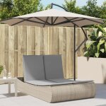 Vidaxl chaise longue double avec coussins beige rsine tresse transat lit de jour dextrieur lit de ...