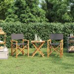 Vidaxl chaises de metteur en scne pliantes lot de 2 bois teck massif 4008513