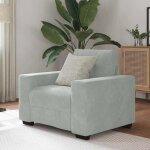 Vidaxl fauteuil gris clair 100x78x80 cm velours 4105098