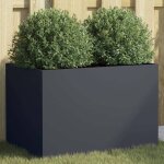 Vidaxl jardinire bac  fleurs pot de plantes bote  fleurs jardinire surleve de jardin patio terrasse ...