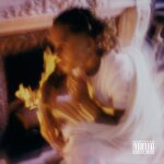 Vinyle rap - vinyle hip hop sony music entertainment france diamant du bled
