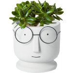 Visage cache - pot jardini�re ciment pots de fleurs cr�atif lunettes visage pots de plantes pots de cactus ...