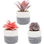 Viverie set de succulentes artificielles en pots 3 pices 8 x 12. 5 cm