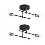 Wottes lot de 2 lustre plafonnier / applique murale industriel 2 t�tes e27 lampe de plafond r�tro vintage ...