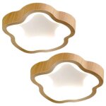 Wottes plafonnier led moderne naturel - 14w blanc froide luminaire fleur lampe de plafond pour couloir ...