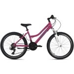 Wyld v�lo enfant filles 24 mistral rose 18 vitesses hauteur de cadre 38 cm ? � partir de 8 ans