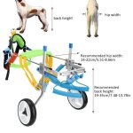 Xuyan animal chariot fauteuil roulant  2 roulettes corde de traction chien chat handicap outil marche ...