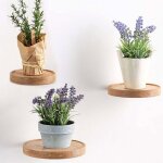 Zayho - lot de 3 tagres murales rondes  15 cm en bois pour plantes flottantes dcoratives pour pot ...