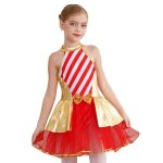 Zdhoor justaucorps danse enfant fille - tutu ballet - robe mere noel - costume nol spectacle - 3 - 16 ...