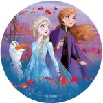 Disque en azyme la reine des neiges 2 anna elsa et olaf 20 cm