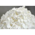 Pastilles vichy sac 1 kilo
