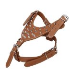1 pcs hriss clout pu chien en cuir harnais en marchant collier pour pitbull mastiff chaud marron