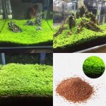 1 sac de graines de plantes daquarium de rservoir de poissons aquatics feuilles vertes tapis eau herbe ...