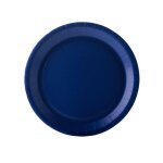 10 assiettes en carton bleu marine 22 cm - bleu fonc�