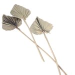 Feuilles dcoratives - naturel - 10 pices - 55 cm - exotique - ethnique - mixte
