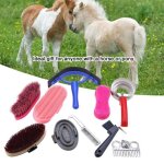 Kit de pansage pour chevaux - ruralshop - 10 pièces - outils de nettoyage - durable - pratique Kit de pansage pour chevaux - ruralshop - 10 pièces - outils de nettoyage - durable - pratique
