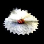 10 ronds de tulle voile 24cm blanc