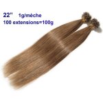 100 extensions cheveux pose � chaud k�ratine 22 ch�tain noisette 1g / m�che u tip