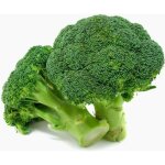 100 graines - chou brocoli - vert calabrais - brassica oleracea